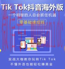 tiktok账号购买平台