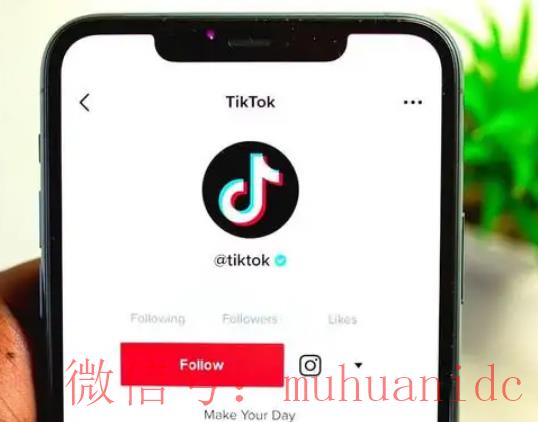tiktok账号购买平台