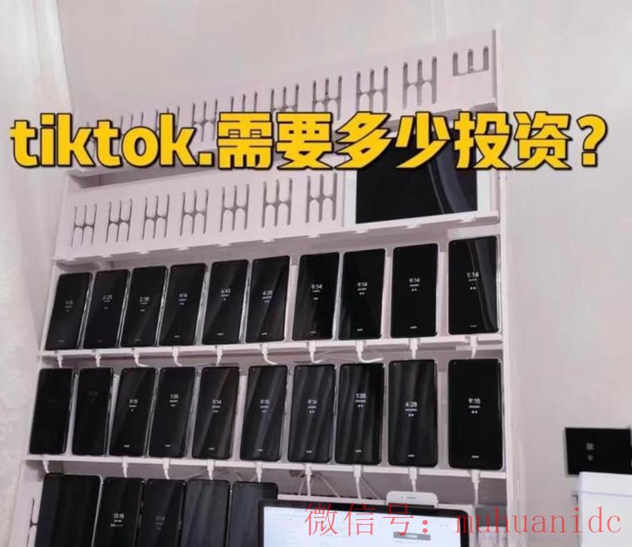 tiktok账号购买平台