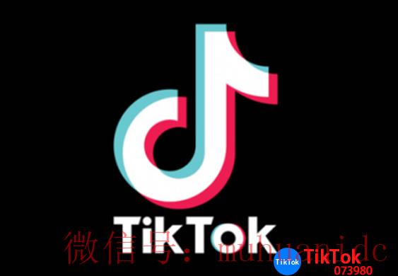 tiktok账号购买平台