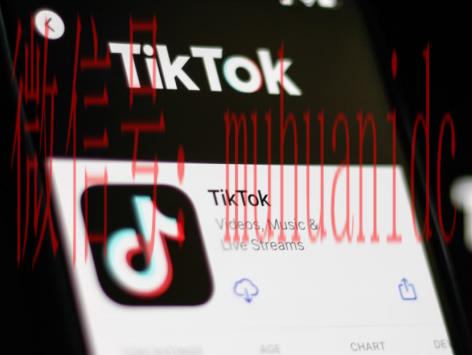 tiktok账号购买平台