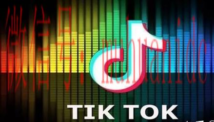 tiktok账号购买平台