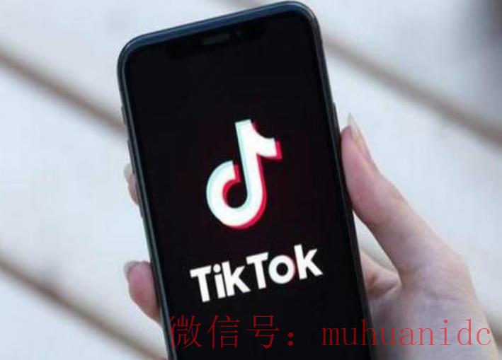 tiktok账号购买平台