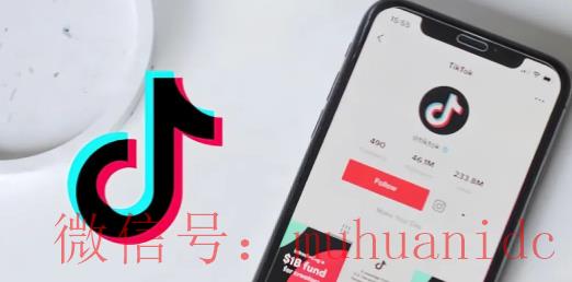 tiktok账号购买平台