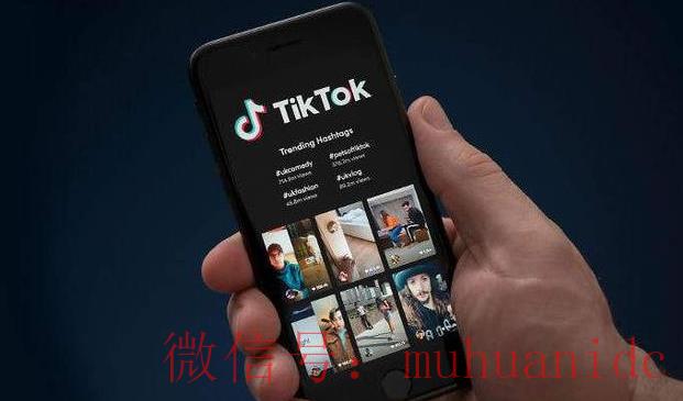 tiktok账号购买平台