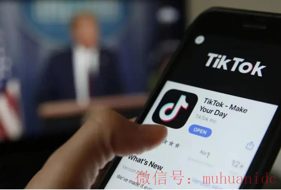 tiktok账号购买平台