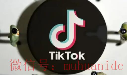 tiktok账号购买平台