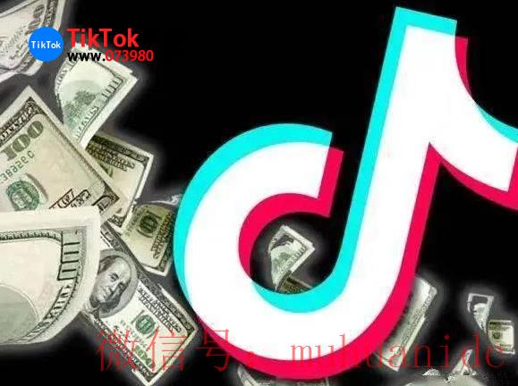 tiktok账号购买平台