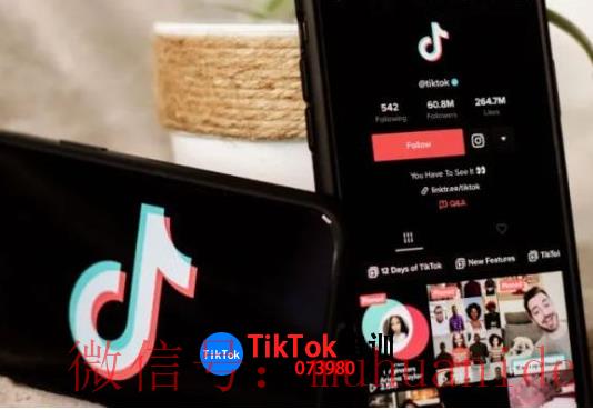 tiktok账号购买平台