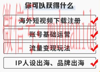 tiktok账号购买平台