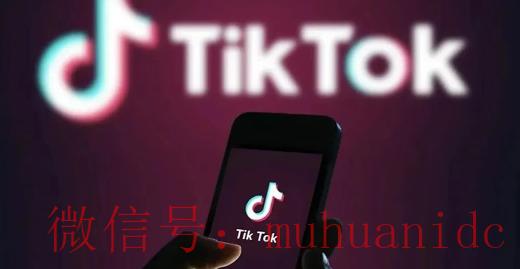 tiktok账号购买平台