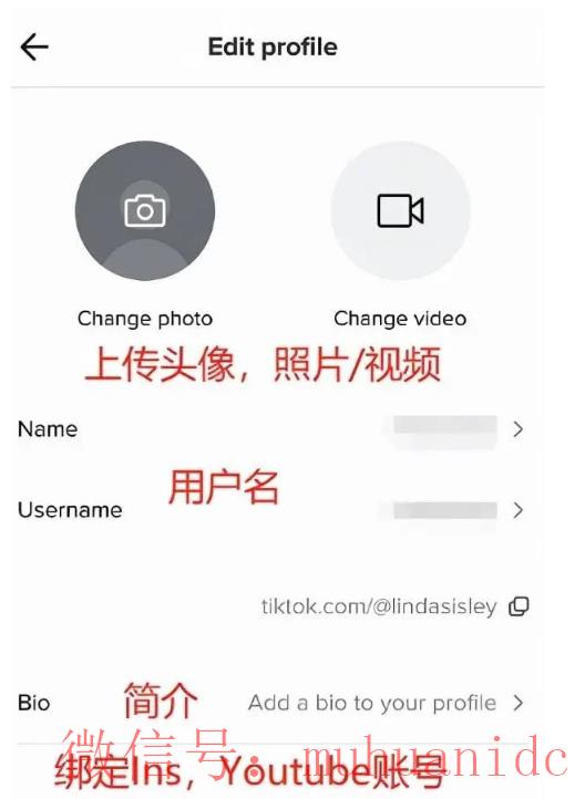 tiktok账号购买平台