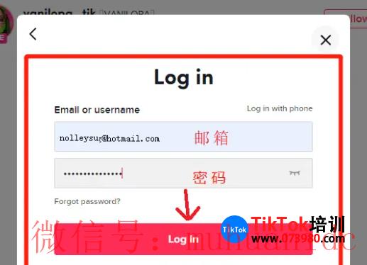 tiktok账号购买平台