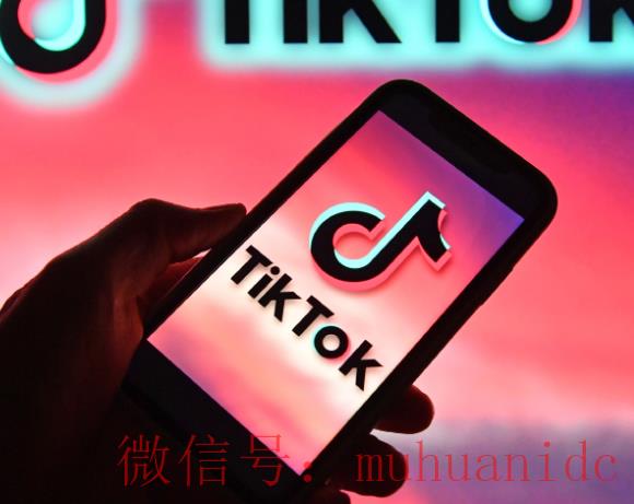 tiktok账号购买平台