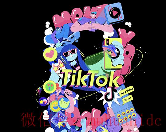 tiktok账号购买平台