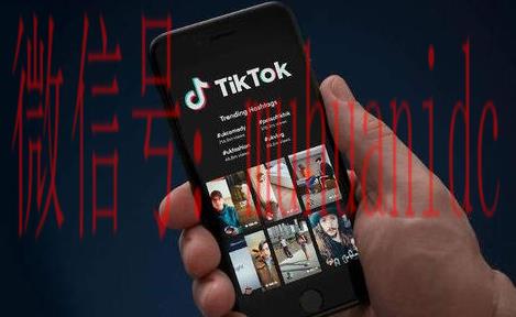 tiktok账号购买平台