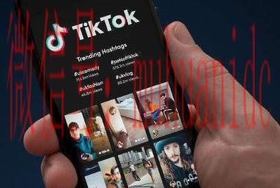 tiktok账号购买平台