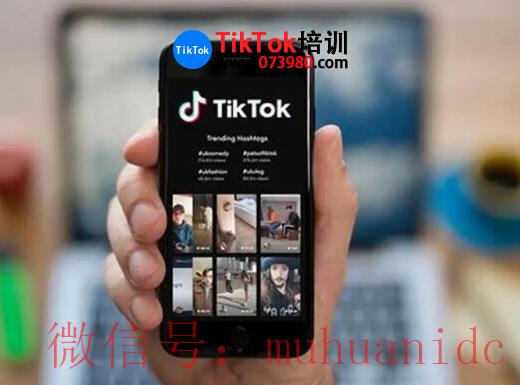 tiktok账号购买平台