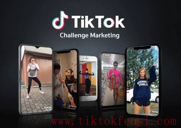 tiktok账号购买平台