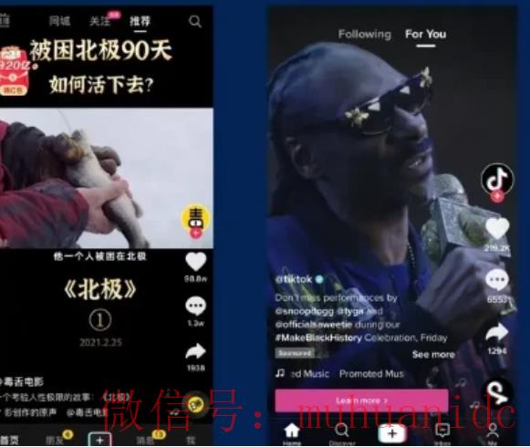 tiktok账号购买平台