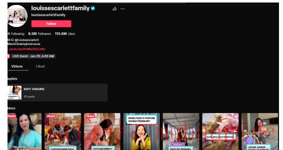 tiktok账号购买平台