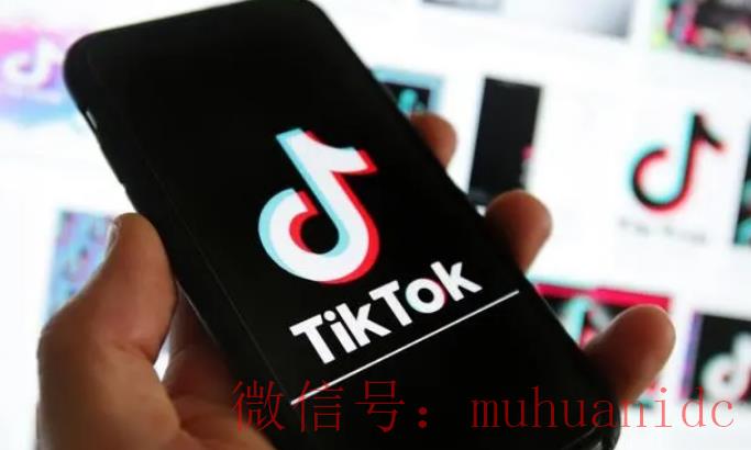 tiktok账号购买平台