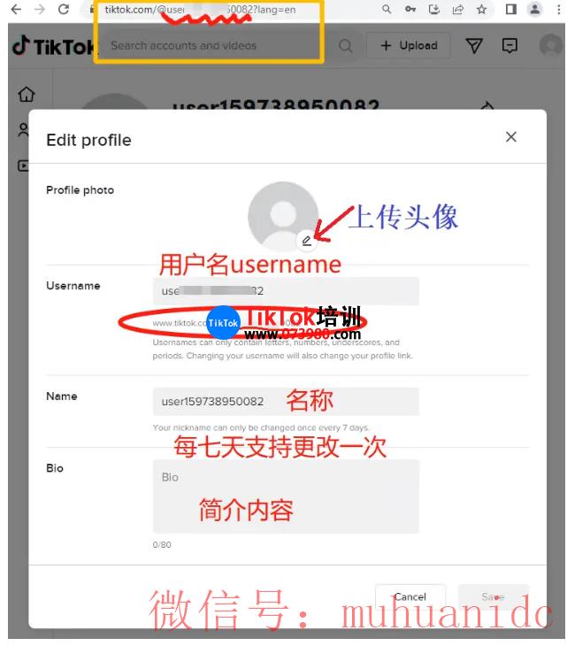 tiktok账号购买平台