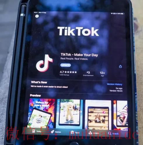 tiktok账号购买平台