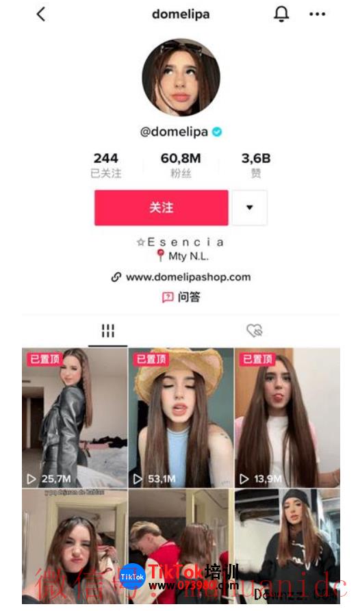 tiktok账号购买平台