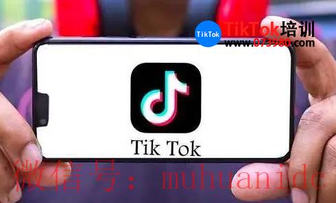 tiktok账号购买平台