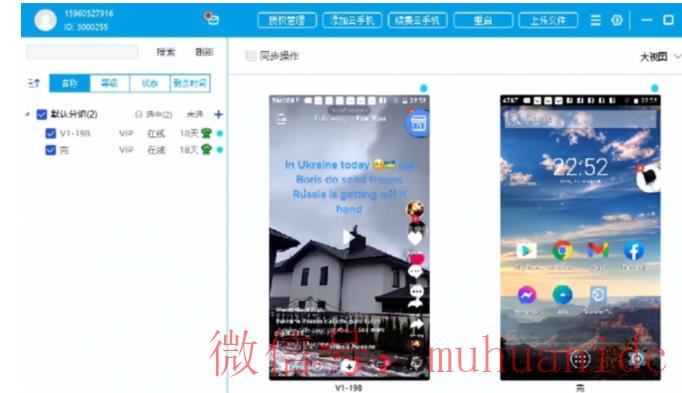 tiktok账号购买平台