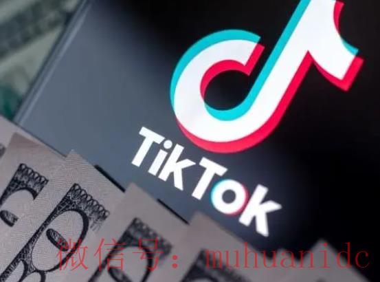 tiktok账号购买平台