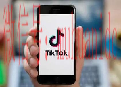 tiktok账号购买平台