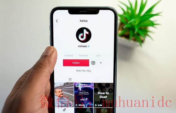 tiktok账号购买平台