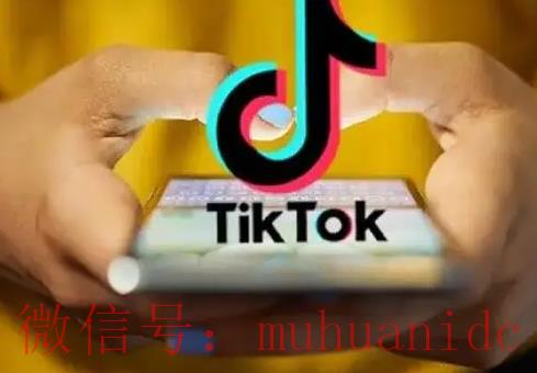 tiktok账号购买平台