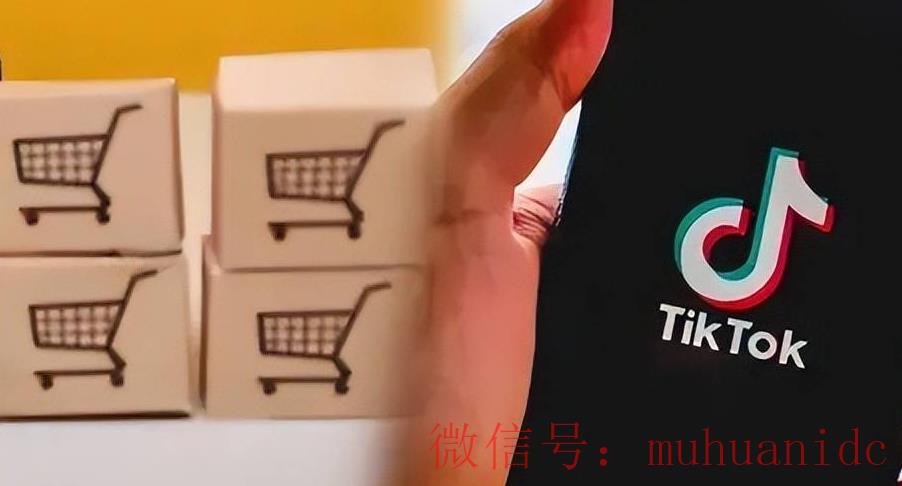 tiktok账号购买平台
