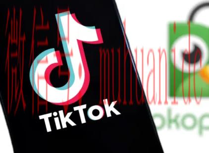 tiktok账号购买平台