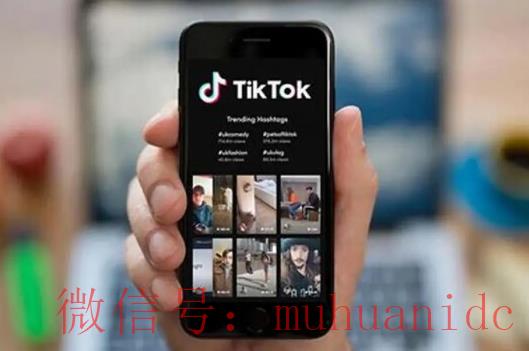 tiktok账号购买平台