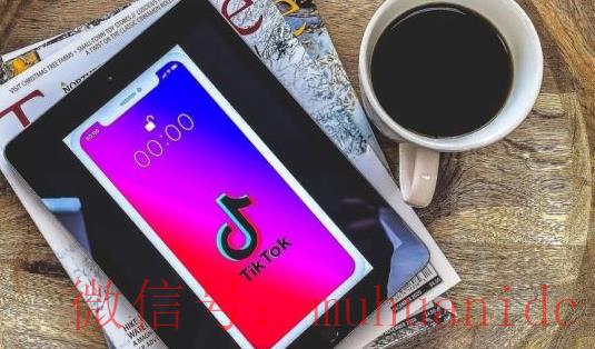 tiktok账号购买平台