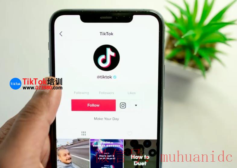 tiktok账号购买平台