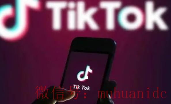 tiktok账号购买平台