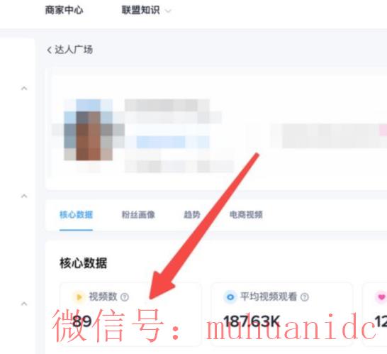 tiktok账号购买平台