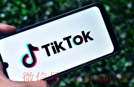 tiktok账号购买平台