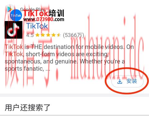 tiktok账号购买平台