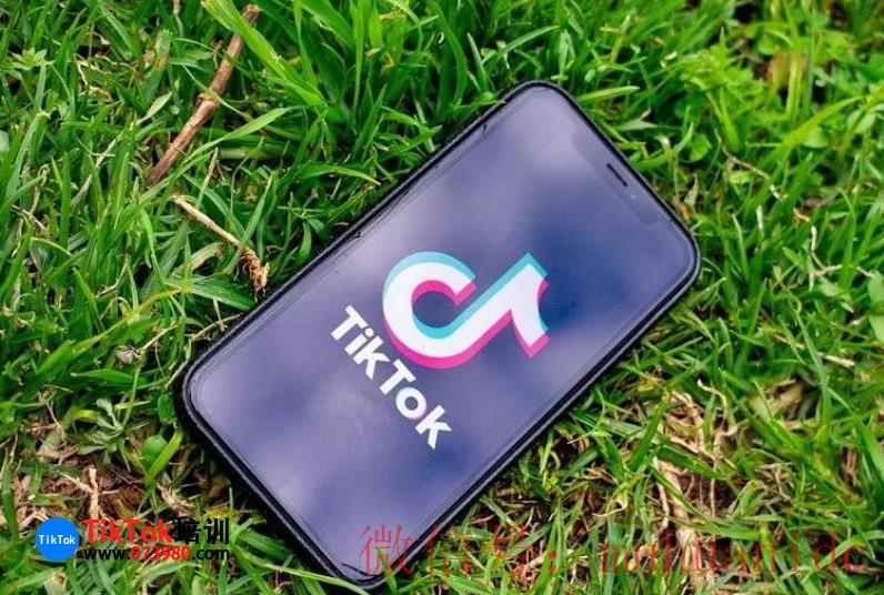 tiktok账号购买平台
