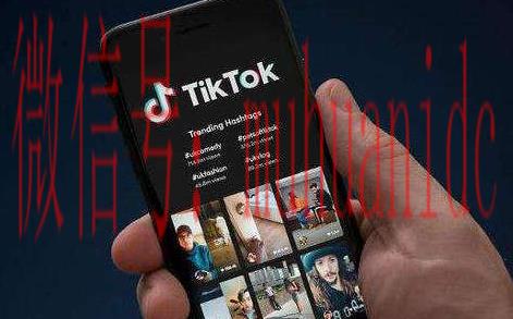 tiktok账号购买平台