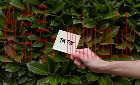 tiktok账号购买平台