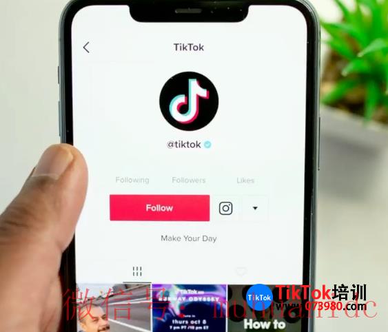 tiktok账号购买平台