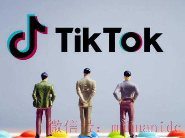 tiktok账号购买平台