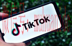tiktok账号购买平台